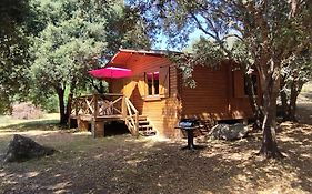 chalets bois 150m de la plage